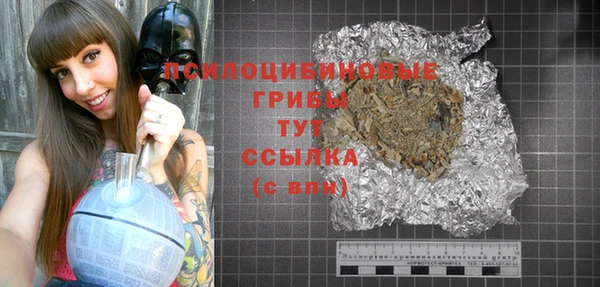 МДПВ Абдулино